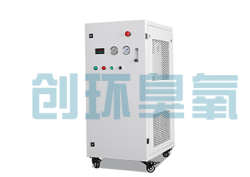 西宁石斑鱼养殖水质调控完整指南:臭氧发生器配置与操作步骤